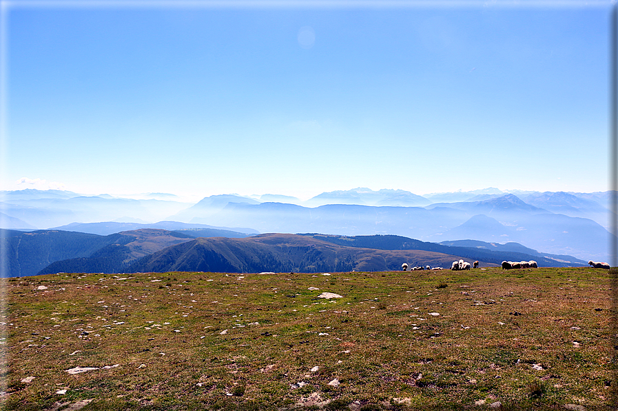 foto Monte Catino